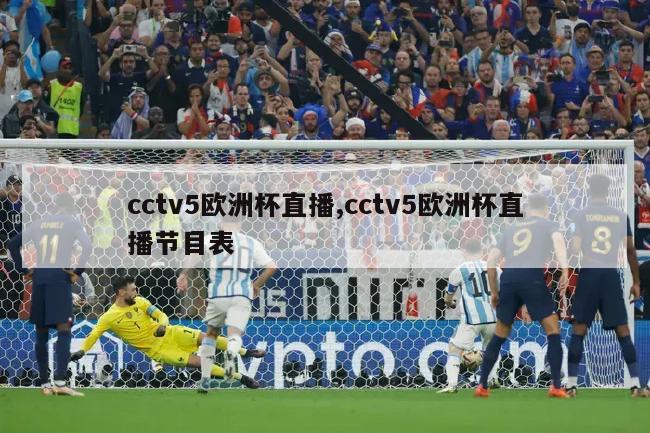 cctv5欧洲杯直播,cctv5欧洲杯直播节目表