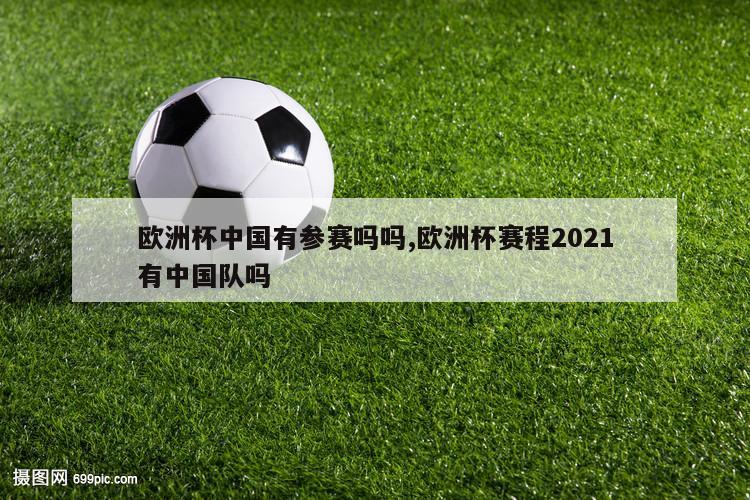 欧洲杯中国有参赛吗吗,欧洲杯赛程2021有中国队吗